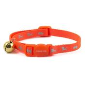 Hi-Vis Safety Kitten Collar Orange image