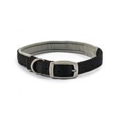 Viva Padded Nylon Dog Collar image