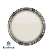 125Ml Sanderson Paint Sample Birch White Lt.