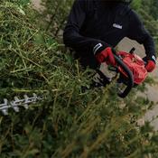 Shindaiwa Hedge Cutter 20" 22Cc