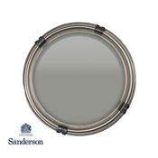 125Ml Sanderson Paint Sample Elder Bark