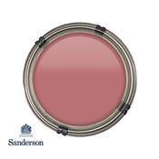 125Ml Sanderson Sample Pot Fire Pink