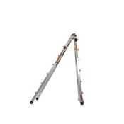 Little Giant 6 Step Ladder