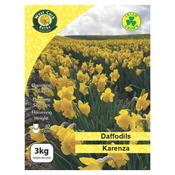 West Cork Daffodil Karenza 3Kg Bag image