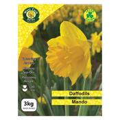 West Cork Daffodil Mando 3Kg Net image