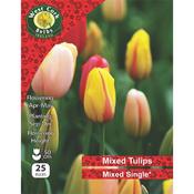 Tulips Single Mixed Varities 25 Bulb image