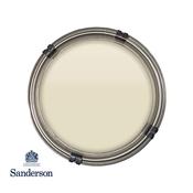 125Ml Sanderson Paint Sample Neutral