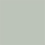 Little Greene Pearl Colour-Dark 169 Absolute Matt 1L
