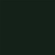 Little Greene Obsidian Green 216  Intelligent Matt 1L
