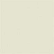 Little Greene Mirror 219  Absolute Matt 1L