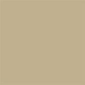 Little Greene Roman Plaster 31  Absolute Matt 1L