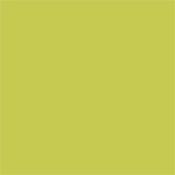 Little Greene Pale Lime 70  Absolute Matt 2.5L