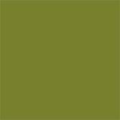 Little Greene Citrine 71  Intelligent Exterior Eggshell 1L