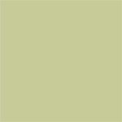 Little Greene Kitchen Green 85  Intelligent Exterior Eggshell 1L