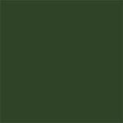 Little Greene Dark Brunswick Green 88 Intelligent Satinwood 1L image
