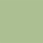 Little Greene Pea Green 91  Intelligent Exterior Eggshell 1L