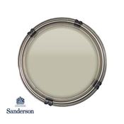 125Ml Sanderson Sample Pot Silver Fern