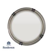 125Ml Sanderson Paint Sample Sky Grey