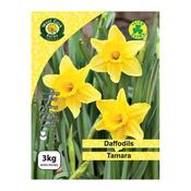 West Cork Daffodil Tamara 3Kg Net