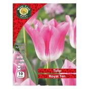West Cork Tulip Triumph Royal Ten 8 Bulbs image