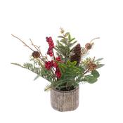 Berry With Foliage &amp; Cones In Pot image