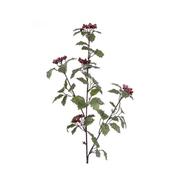 Iced Holly Spray 81Cm image