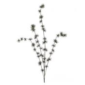 Sparkle Ming Spray 94Cm image