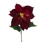 Poinsettia Stem 71Cm image
