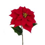 Poinsettia Stem 71Cm image