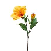 Hibisvus Orange Spray 60Cm image
