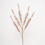 Phalaris Spray 71Cm