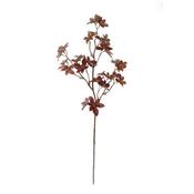 Enkianthus Spray 74Cm