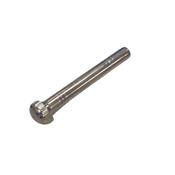 Holy Water Sprinkler - 3.5"