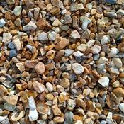 New Forest Flint