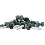 VISTA SCREWS PK 100 &amp; DRIVER image