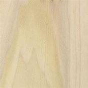 Square Blanks - Poplar