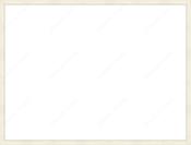 Custom Frame image