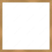 Custom Frame image