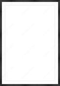 Custom Frame + Mount