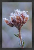 Upload, Print &amp; Frame image