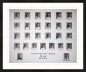 Framed Print image