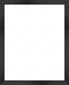 Custom Frame