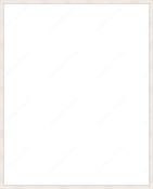 Custom Frame image