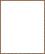 Custom Frame image