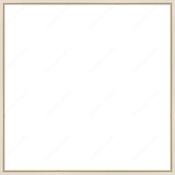 Custom Frame