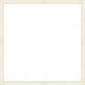 Custom Frame image