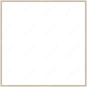 Custom Frame image
