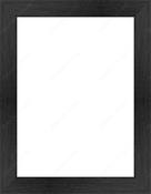Custom Frame + Mount