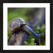 Upload, Print &amp; Frame