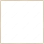 Custom Frame image